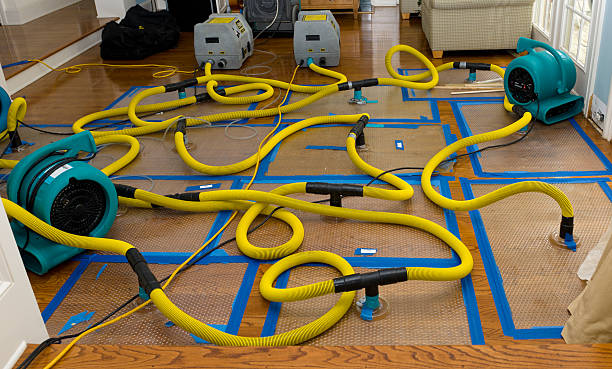 Professional Water Extraction technician working in Staten Island, NY